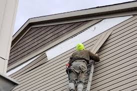 Best Fascia and Soffit Installation  in Terville, WA